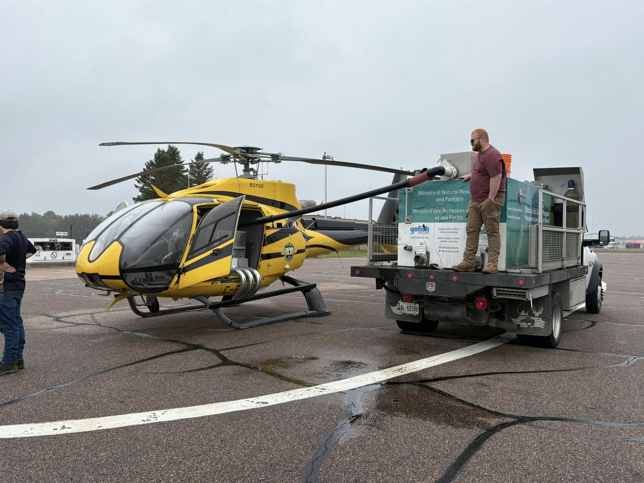 Business aviation services